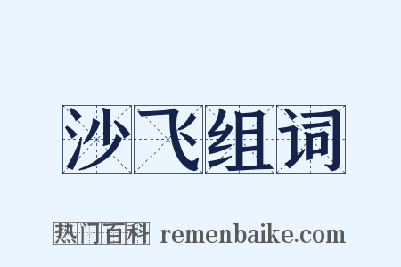 沙飞组词是什么意思的图片